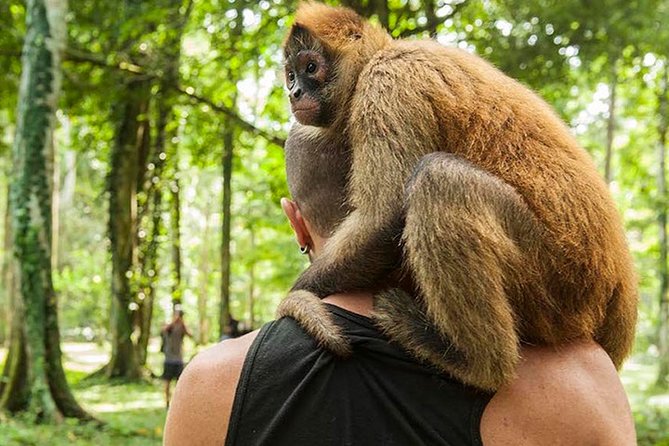 Wildlife Rescue Center and Punta Uva Beach & Jungle Hike - Key Points