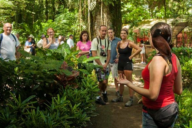 Wildlife Rescue Center and Punta Uva Beach & Jungle Hike - A Deep Dive into the Experience