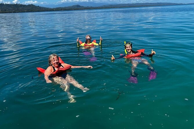 Snorkeling! & Cahuita national park Private Sightseeing Tours - An In-Depth Look at the Cahuita National Park Tour