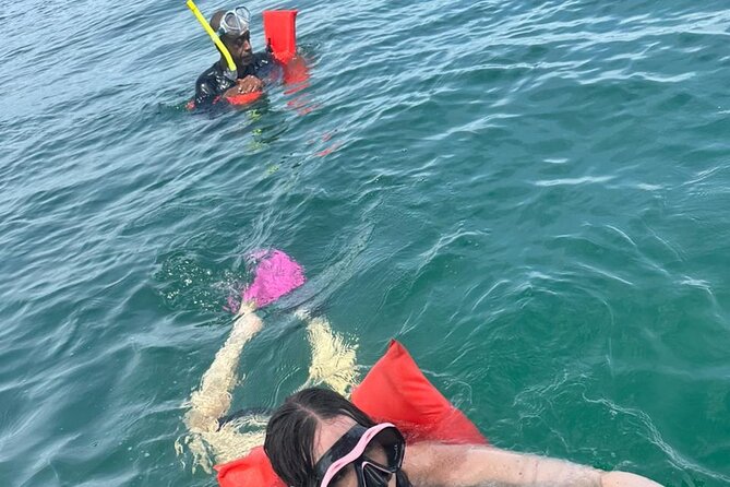 Snorkeling! & Cahuita national park Private Sightseeing Tours - The Sum Up: Who Should Consider This Tour?