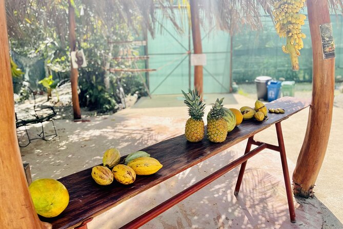 Butterfly Garden & Tortuguero Canals: A Unique Tropical Adventure - Tropical Fruit Stand and Nature Walk