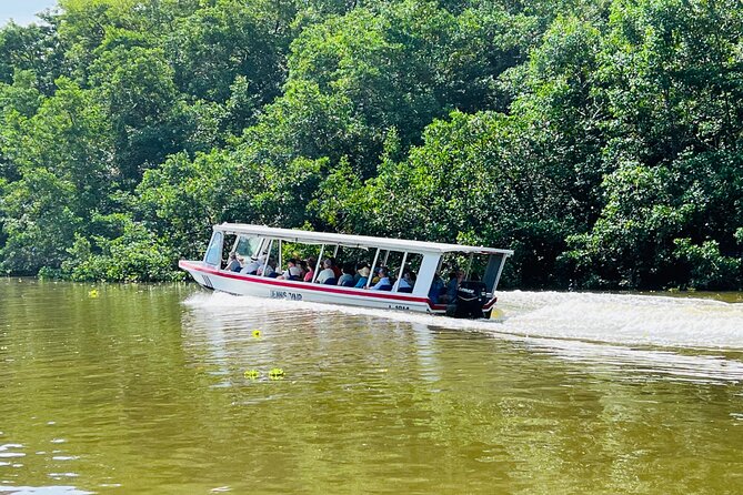 Half day Tortuguero Canal, Cahuita National Park & Puerto Limon - Who Will Love This Tour?