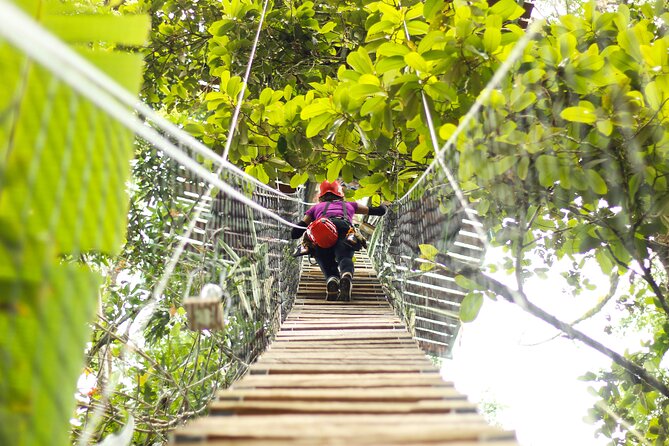 60m Tree Climbing Experience with Descent in Tarzan or Rapel - Who Should Consider This Tour?