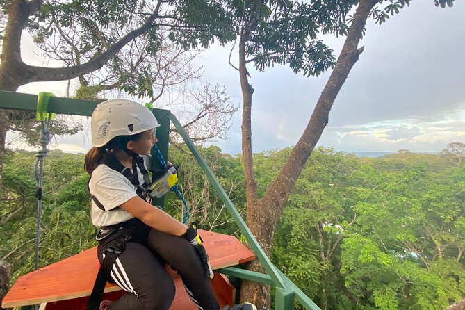 60m Tree Climbing Experience with Descent in Tarzan or Rapel - A Thrilling 60m Tree Climbing Tour in Limon, Costa Rica