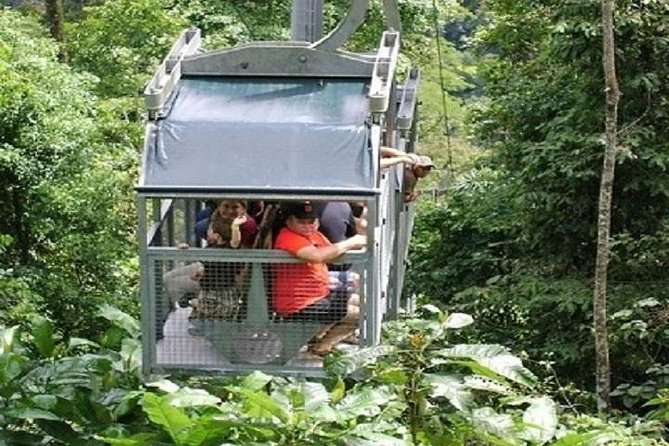 Veragua Rainforest - Key Points