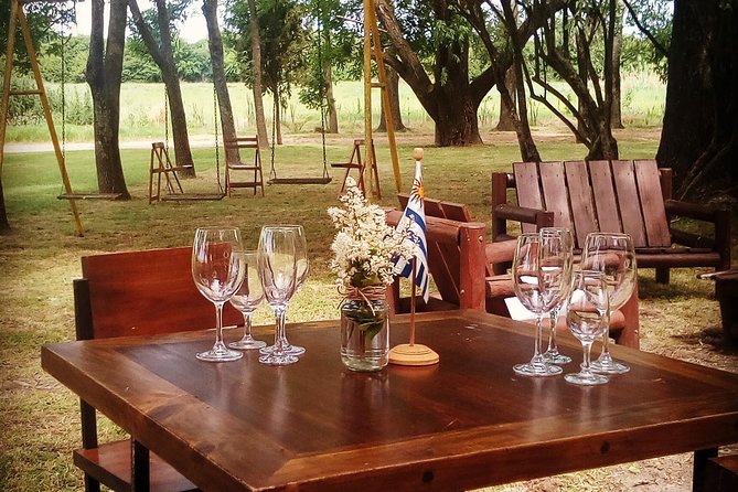 Tour Selection of the Sommelier - Final Thoughts: Who Should Consider This Tour?