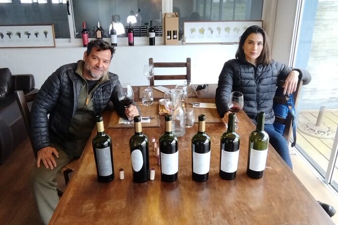 Visit to Legendary Winery in Montevideo - The Experience in Detail: From Vineyard to Glass
