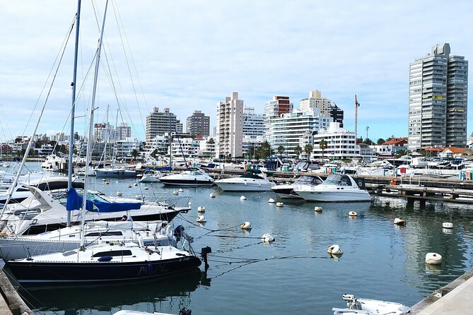 Full Day Private Tour to Punta del Este - Key Points