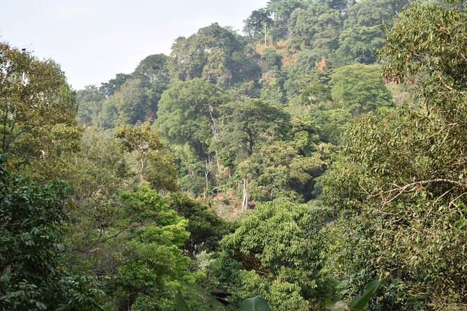 Easy half-day hike to gorgeous waterfalls in Minca - Why This Tour Stands Out