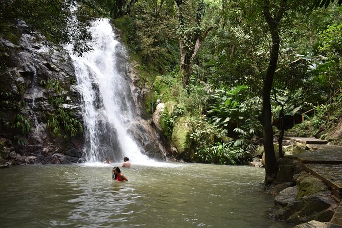Easy half-day hike to gorgeous waterfalls in Minca - Final Thoughts: Is This Tour Right for You?