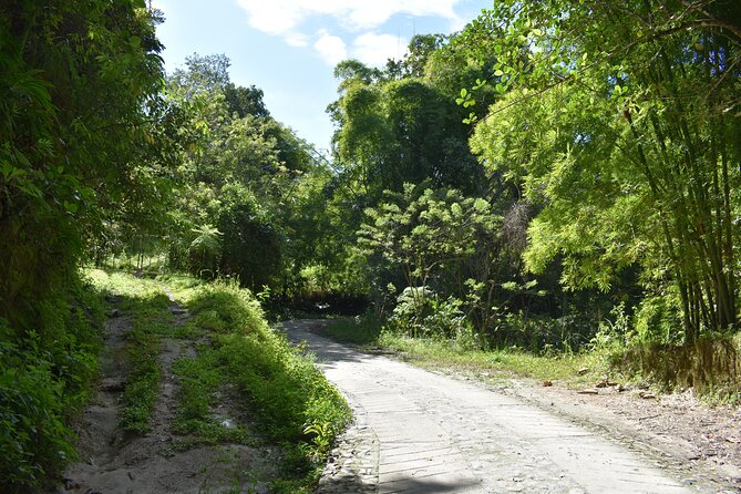 Easy half-day hike to gorgeous waterfalls in Minca - In-Depth Explanation of the Itinerary