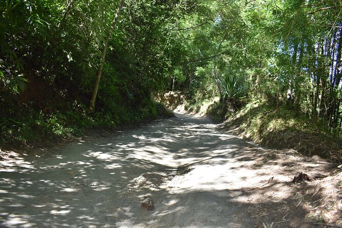 Easy half-day hike to gorgeous waterfalls in Minca - Why You Should Consider This Tour