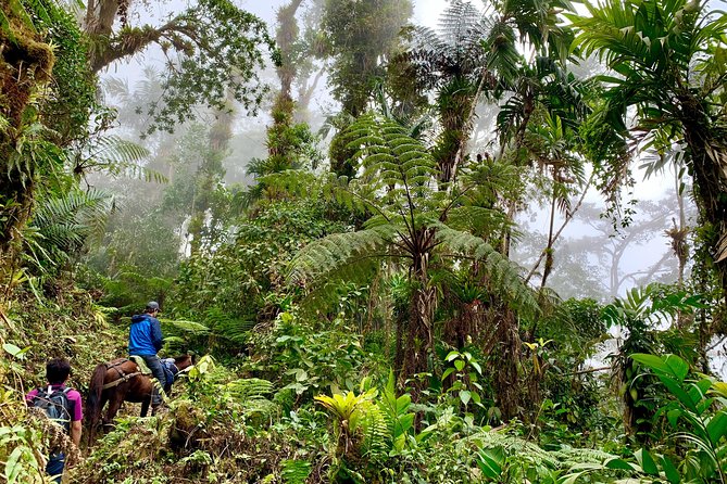 La Expedición Nativa - Sierra Nevada (3 días Awesomes view points) - Final Thoughts