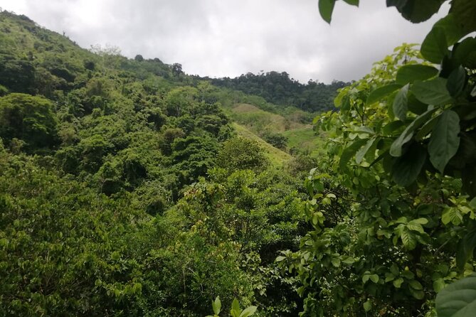 Passion Fruit and El Saltillo Waterfall Tour - Exploring the Sierra Nevada: A Day in Nature and Culture