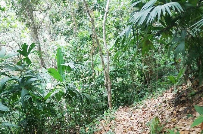 Passion Fruit and El Saltillo Waterfall Tour - Who Should Take This Tour?