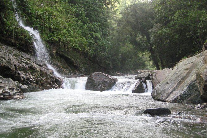 4-Day Lost City Small-Group Tour in Santa Marta - Exploring the Itinerary in Detail