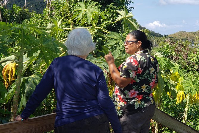 Book Your Private Two and a Half Hour Island Tour today! - What Travelers Say: Authentic Experiences from Reviews