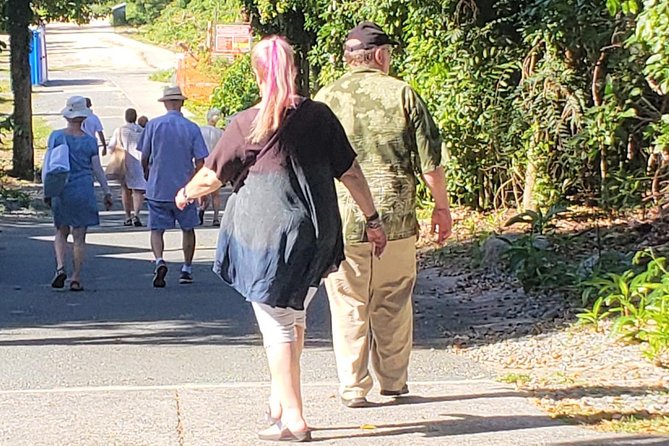 Book Your Private Two and a Half Hour Island Tour today! - Analyzing the Value