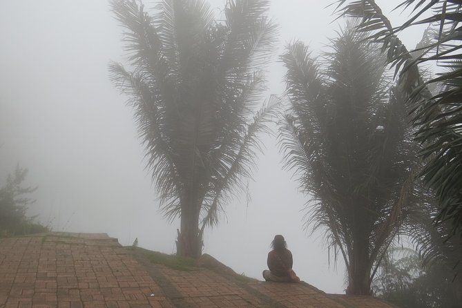 Hiking High Andean Forests - The Practicalities: What You Need to Know