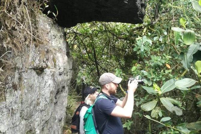 Hiking High Andean Forests - Final Thoughts