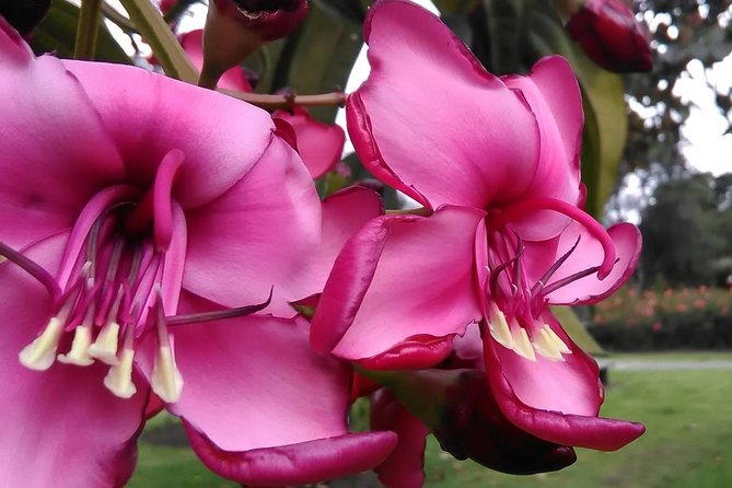 Discover the largest urban park in the world - FAQ