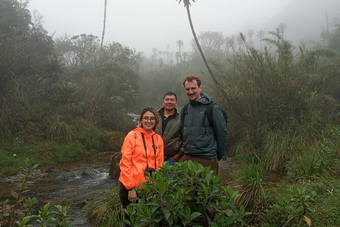 Explore Chingaza Natural Park: A Scenic Adventure from Bogotá - The Sum Up
