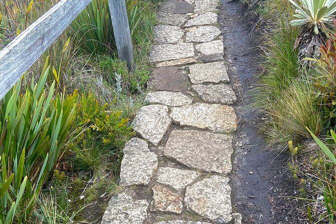 Private Visit to Casa Loca and Guatavita - FAQ