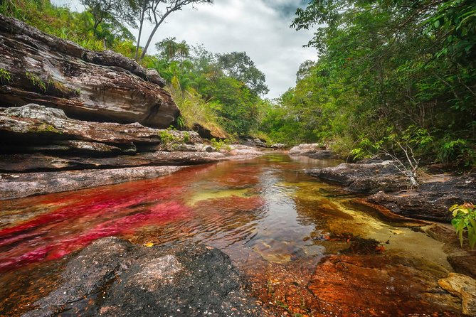 3-Day Trip to Caño Cristales from Bogota - Exploring the Itinerary in Detail