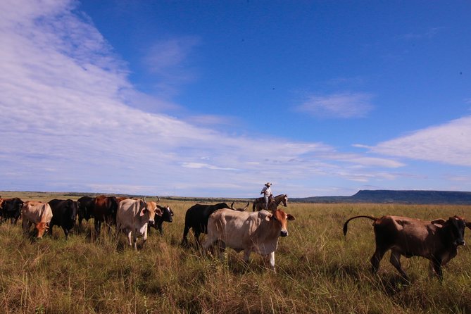 3-Day Trip to Caño Cristales from Bogota - Key Points