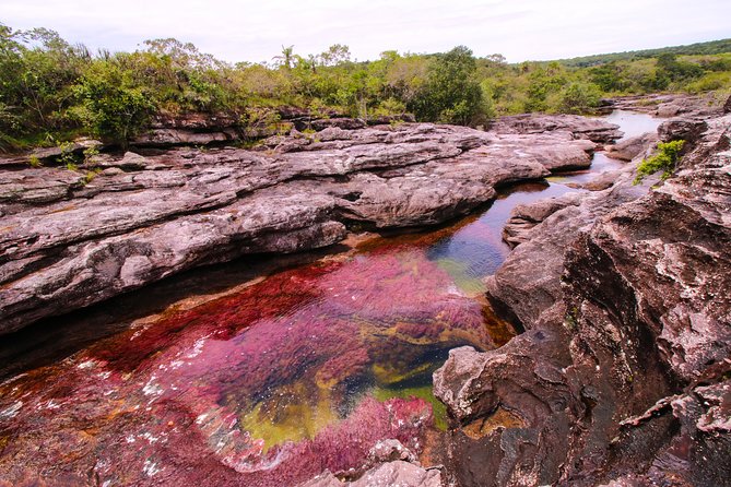 3-Day Trip to Caño Cristales from Bogota - Final Thoughts