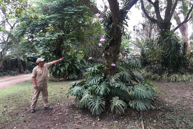 Coffee Farm Experience Private Day Tour - Final Words