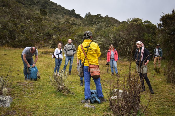Sumapaz Páramo Private Hike Tour - Value and Overall Impression