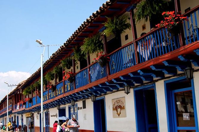 Private half day tour to Nemocon Salt Cathedral and village - Exploring the Salt Mine and Village: What to Expect