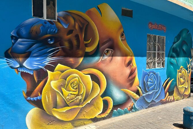 Graffiti tour in Ciudad Bolívar - Key Points