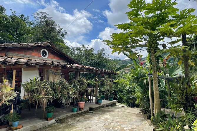 Private Half-Day Coffee Tour at Family Farm Close to Medellín! - Who Will Love This Tour?