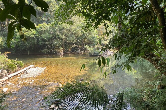 The best Private Tour to Jungle+Rafting+Paragliding+Natural pool - What Makes This Tour Special?