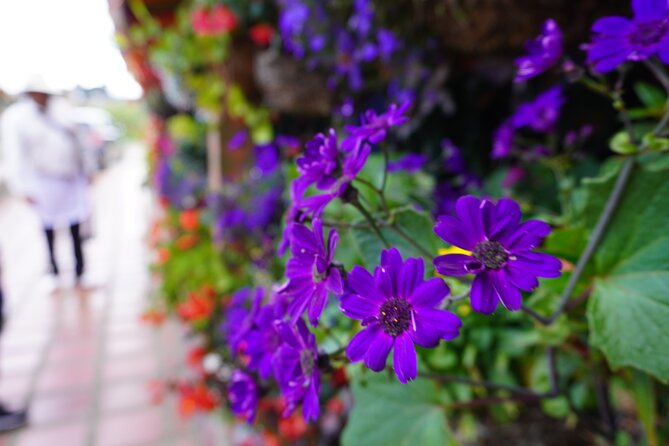 Private Tour Heart Fair Flowers + Adventure Park + Flower Farm - Key Points