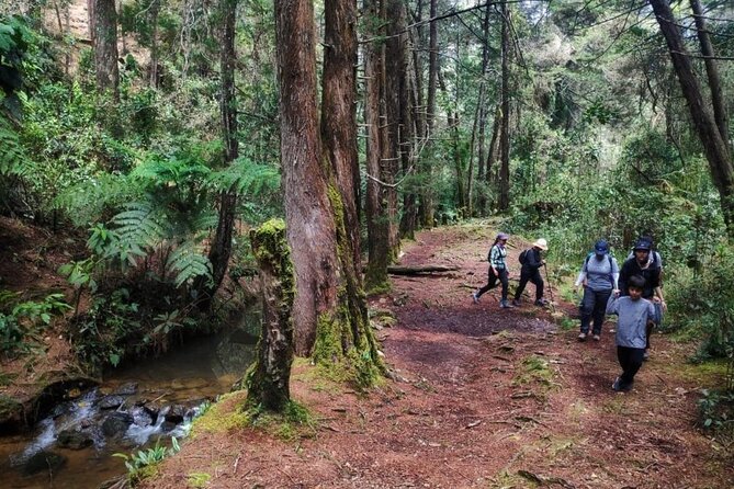 Private Tour Heart Fair Flowers + Adventure Park + Flower Farm - The True Value of This Tour