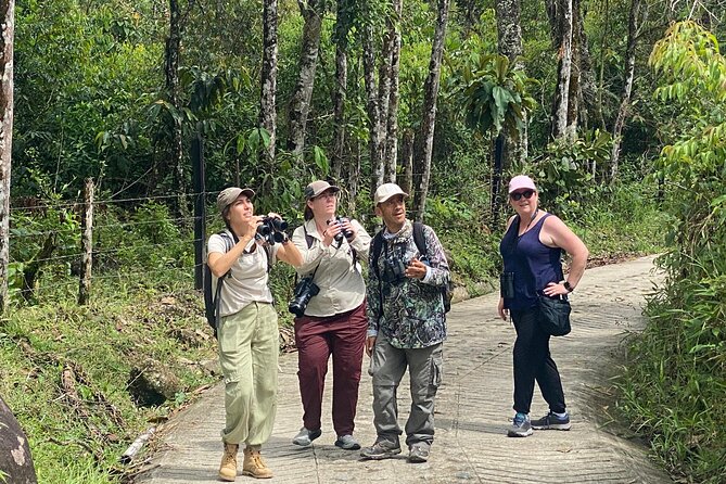 Jungle Tour Bird Watching and Local Fauna from Guatapé - Who Should Book This Tour?