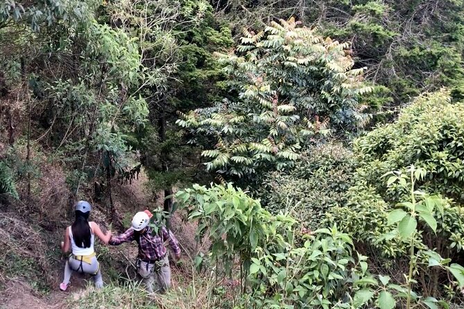 Zip-Line and Waterfall Climb Adventure - Who Is This Tour Best For?