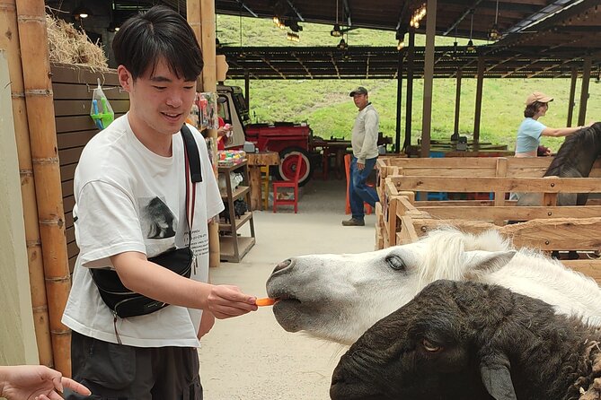 Guatapé and the rock Full Day Private Tour - A Deep Dive Into the Guatapé and Peñol Rock Private Tour