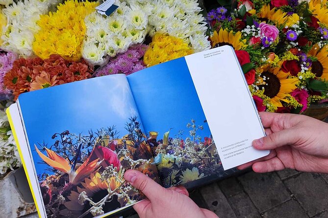 City Tour Medellin 4 Hours with Art Book Included - Additional Features & Practical Details