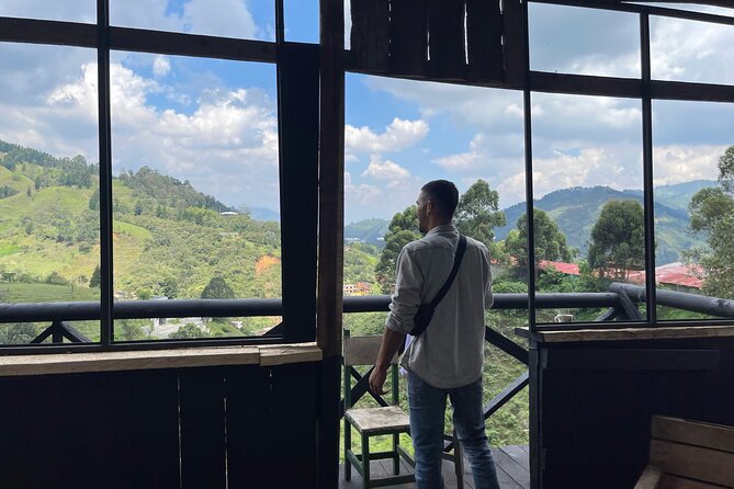 Scenic Horseback Riding in the Medellín Mountains - Who Will Love This Tour?