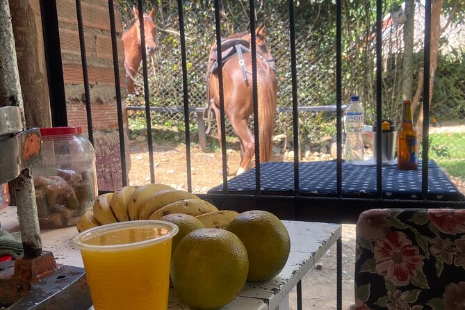 Scenic Horseback Riding in the Medellín Mountains - FAQ