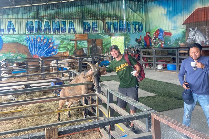 Scenic Horseback Riding in the Medellín Mountains - Scenic Horseback Riding in the Medellín Mountains