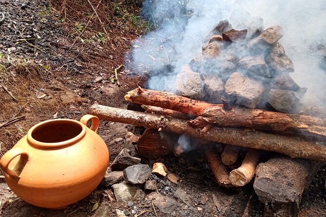 Therapeutic Temazcal: Harmony and Rebirth in the Forest - Why This Tour Offers Value