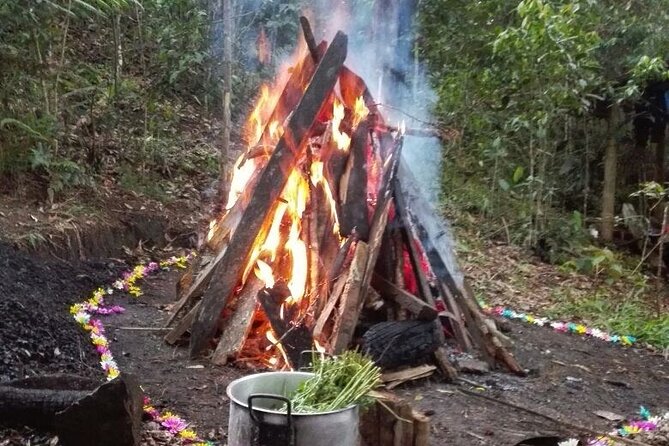 Therapeutic Temazcal: Harmony and Rebirth in the Forest - The Sum Up