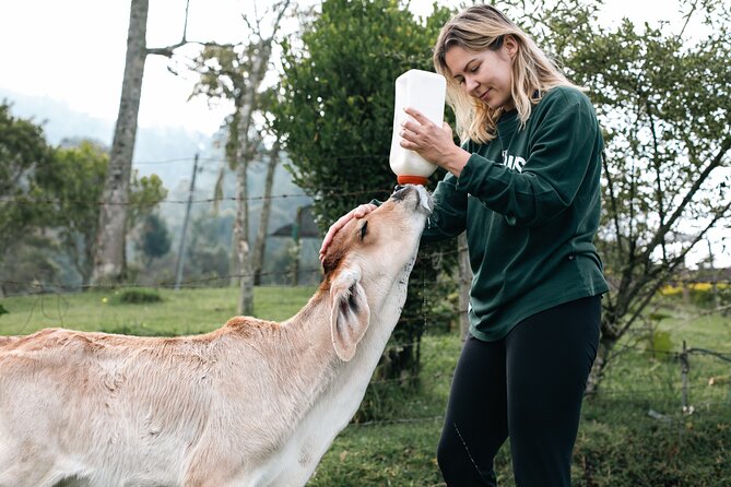 100-Year-Old family-run Finca: Horseback Riding & More - Value for Money