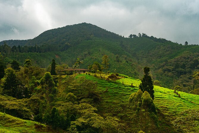 100-Year-Old family-run Finca: Horseback Riding & More - Key Points