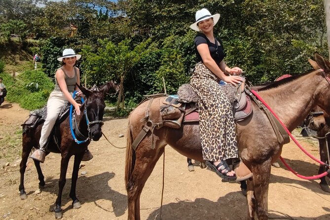 Horseback Riding Adventure from Medellin - Authentic Experiences and Real Feedback